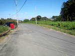 L01.jpg